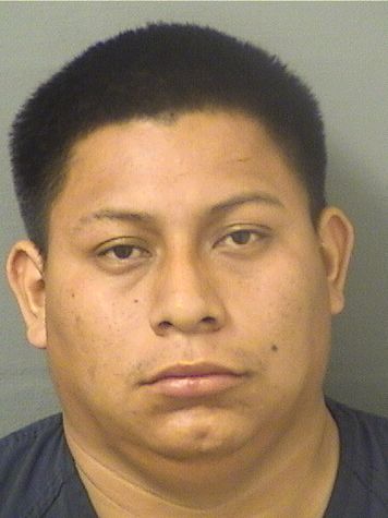  WILDER EMANUEL RAMIREZMORALES Results from Palm Beach County Florida for  WILDER EMANUEL RAMIREZMORALES