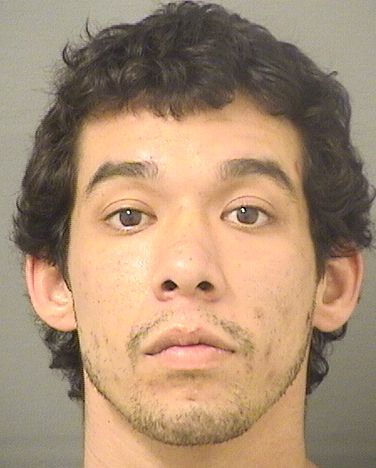  ANTHONY SEDA Results from Palm Beach County Florida for  ANTHONY SEDA