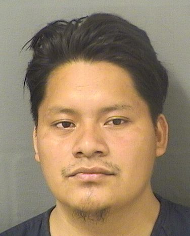  GABRIEL OMADIAS DOMINGOCARDONA Results from Palm Beach County Florida for  GABRIEL OMADIAS DOMINGOCARDONA