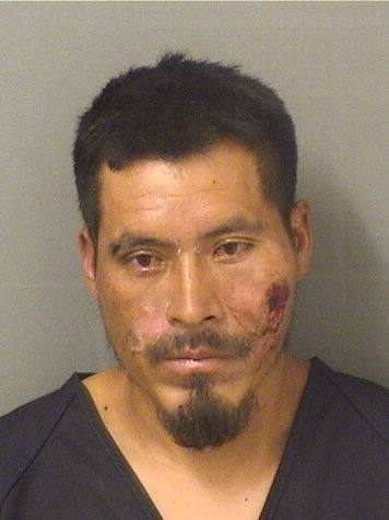  TOMAS FRANCISCO Resultados de la busqueda para Palm Beach County Florida para  TOMAS FRANCISCO