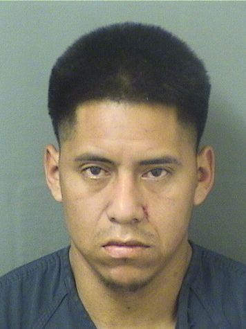  ANTONIO PASTOROXLAJ Results from Palm Beach County Florida for  ANTONIO PASTOROXLAJ