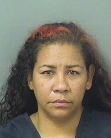  ERICKA DAICHELI GARCIATORRES Results from Palm Beach County Florida for  ERICKA DAICHELI GARCIATORRES