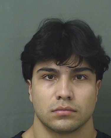  DEVIN MATTHEW ROSS Results from Palm Beach County Florida for  DEVIN MATTHEW ROSS