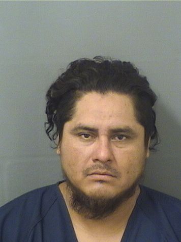  JARED B MORALES Results from Palm Beach County Florida for  JARED B MORALES