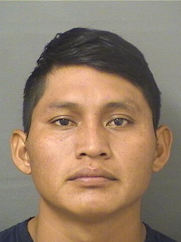  ANDRES FELIPEMORALES Results from Palm Beach County Florida for  ANDRES FELIPEMORALES