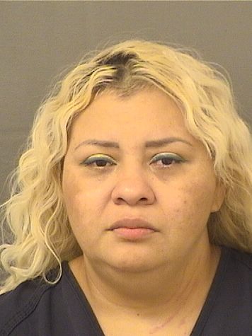  DINORA ISABEL RIVERAPAZ Results from Palm Beach County Florida for  DINORA ISABEL RIVERAPAZ