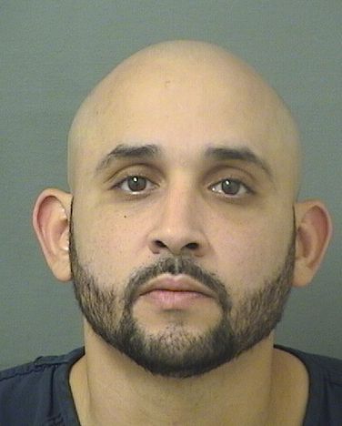  JAVIER OCTAVIO ROSALES Results from Palm Beach County Florida for  JAVIER OCTAVIO ROSALES