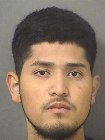  MAYKOL SCOTH SALINASRIVERA Results from Palm Beach County Florida for  MAYKOL SCOTH SALINASRIVERA