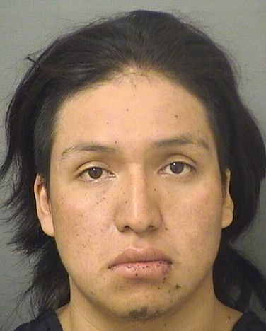  YELSON PEREZHERNANDEZ Resultados de la busqueda para Palm Beach County Florida para  YELSON PEREZHERNANDEZ