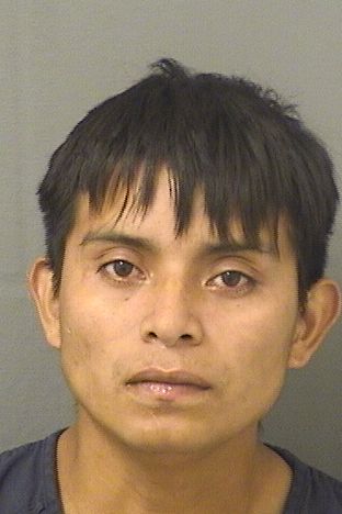 MINOR MENDEZ HERNANDEZ Results from Palm Beach County Florida for MINOR MENDEZ HERNANDEZ MINOR MENDEZ HERNANDEZ Results from Palm Beach County Florida for MINOR MENDEZ HERNANDEZ