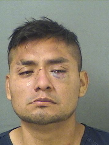  JORGE LUIS TOLEDOSANCHEZ Results from Palm Beach County Florida for  JORGE LUIS TOLEDOSANCHEZ