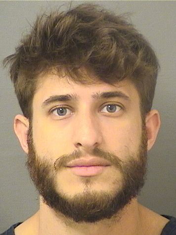  ALEXANDER DAVID JAMIS Resultados de la busqueda para Palm Beach County Florida para  ALEXANDER DAVID JAMIS