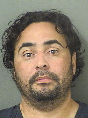  MARLON RAFAEL HERNANDEZ Results from Palm Beach County Florida for  MARLON RAFAEL HERNANDEZ