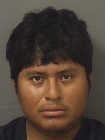  FREDY ANIBAL COYCHOC Results from Palm Beach County Florida for  FREDY ANIBAL COYCHOC