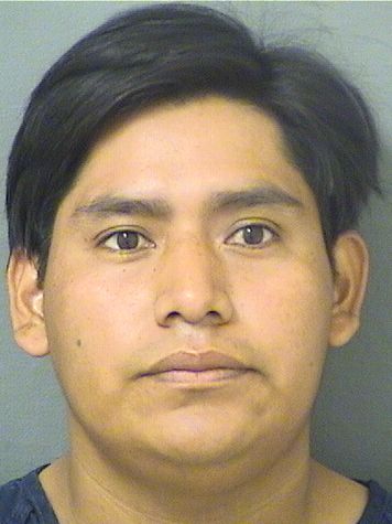  ERICK ERMITANO VAILLOPEZ Results from Palm Beach County Florida for  ERICK ERMITANO VAILLOPEZ