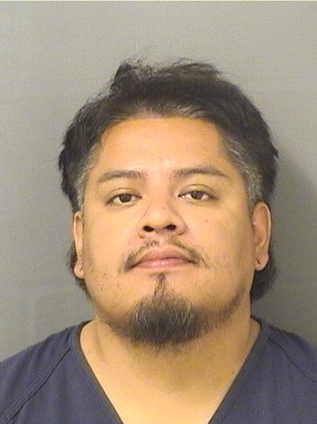  BERNARDO GARCIAOCHOA Results from Palm Beach County Florida for  BERNARDO GARCIAOCHOA