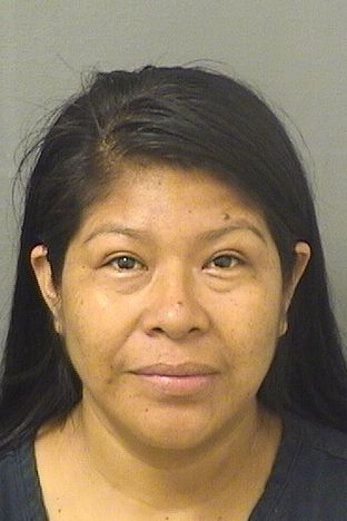  LUCIA LOPEZMENDOZA Results from Palm Beach County Florida for  LUCIA LOPEZMENDOZA