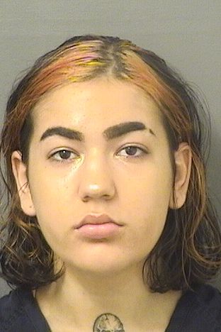  ELENA J FALZONE Resultados de la busqueda para Palm Beach County Florida para  ELENA J FALZONE