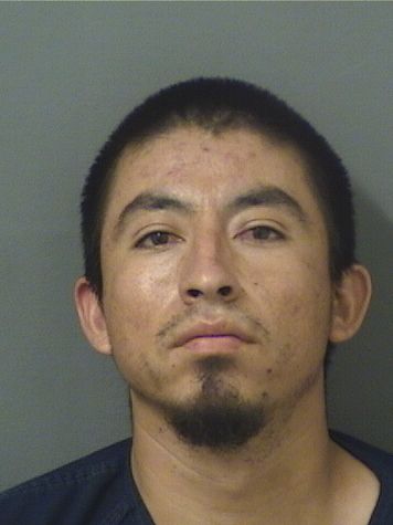  ULISES AVALOS REBOLLEDO Photo For  ULISES AVALOS REBOLLEDO