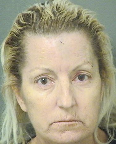  ERICA JAYNE WITTE Results from Palm Beach County Florida for  ERICA JAYNE WITTE