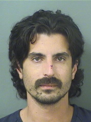  MARK ROCCOJ CONBOY Results from Palm Beach County Florida for  MARK ROCCOJ CONBOY