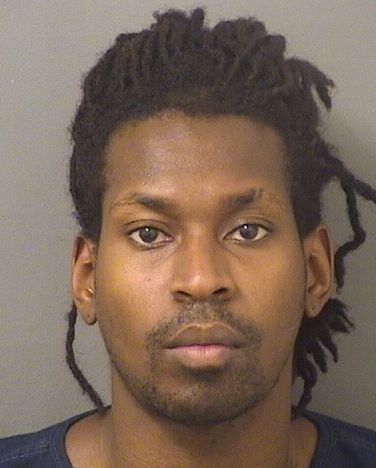  NICSON ALEXANDRE Results from Palm Beach County Florida for  NICSON ALEXANDRE