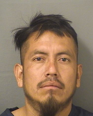  WUILLIAN GABRIELSALES Results from Palm Beach County Florida for  WUILLIAN GABRIELSALES