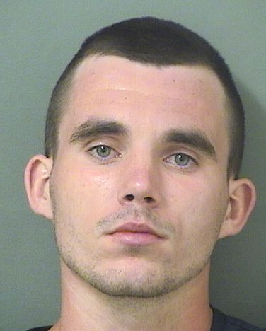  ELIJAH BRYCE LICKTEIG Results from Palm Beach County Florida for  ELIJAH BRYCE LICKTEIG