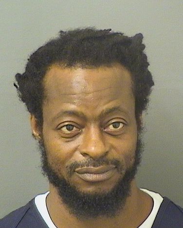  SALCADO R JOHNSON Results from Palm Beach County Florida for  SALCADO R JOHNSON