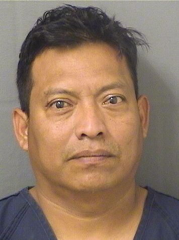  ESVIN GEOVANNY LOPEZBARTOLO Results from Palm Beach County Florida for  ESVIN GEOVANNY LOPEZBARTOLO