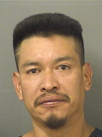  MARCOS J PEREZ Results from Palm Beach County Florida for  MARCOS J PEREZ