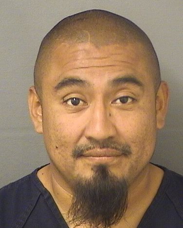  MARCOS ANTONIO FRANCISCO Results from Palm Beach County Florida for  MARCOS ANTONIO FRANCISCO