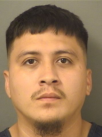  EDUARDO MENDIOLA Results from Palm Beach County Florida for  EDUARDO MENDIOLA