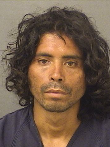  WILMER MIGUEL VELASQUEZ Results from Palm Beach County Florida for  WILMER MIGUEL VELASQUEZ