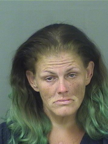  CATRINA M CHURCHWELL Resultados de la busqueda para Palm Beach County Florida para  CATRINA M CHURCHWELL