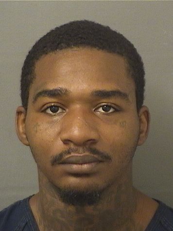  ARKHEEM JANEAL LAMB Results from Palm Beach County Florida for  ARKHEEM JANEAL LAMB