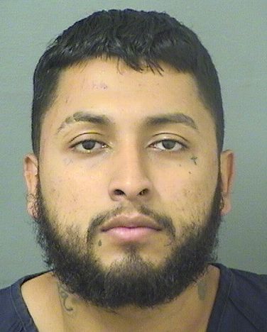  FREDY ROBERTO LANDAROSALES Results from Palm Beach County Florida for  FREDY ROBERTO LANDAROSALES