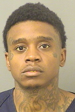  CARIE M HENDRIX Results from Palm Beach County Florida for  CARIE M HENDRIX