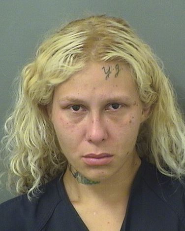  SARAH N PERRY Results from Palm Beach County Florida for  SARAH N PERRY