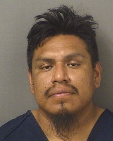  MARCOS PEDRO Results from Palm Beach County Florida for  MARCOS PEDRO