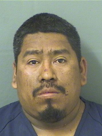 JOSE LUIS GOMEZRENOJ Photos For  JOSE LUIS GOMEZRENOJ  JOSE LUIS GOMEZRENOJ Photo For  JOSE LUIS GOMEZRENOJ