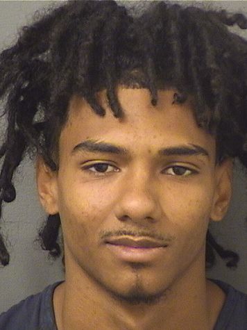  ALTON WILLIAM BRONSON Results from Palm Beach County Florida for  ALTON WILLIAM BRONSON