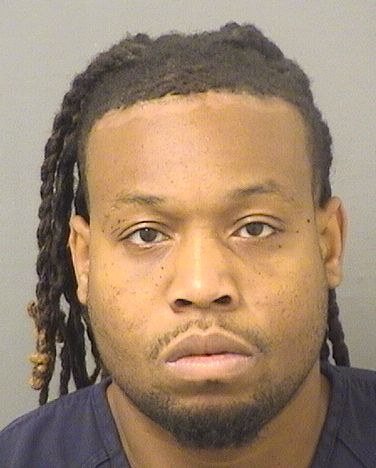  RICARDO DONROBERT CHATELAIN Results from Palm Beach County Florida for  RICARDO DONROBERT CHATELAIN