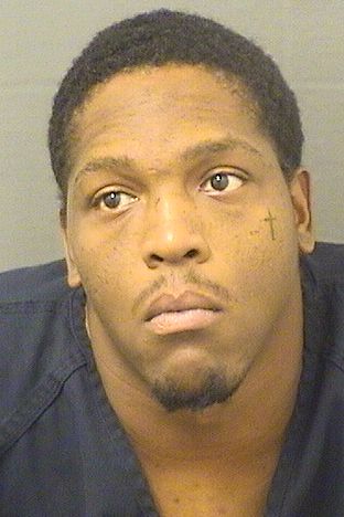  MICHAEL KING Results from Palm Beach County Florida for  MICHAEL KING