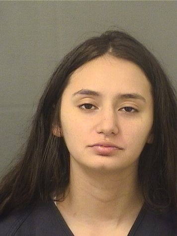  BIANCA DESOUZA Results from Palm Beach County Florida for  BIANCA DESOUZA