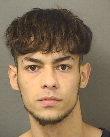  ANTHONY MOLINA Results from Palm Beach County Florida for  ANTHONY MOLINA