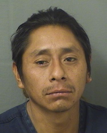  GONZALO MARCOSCARDONA Results from Palm Beach County Florida for  GONZALO MARCOSCARDONA