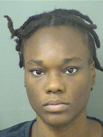  ASHLEY ESTERLIN Results from Palm Beach County Florida for  ASHLEY ESTERLIN