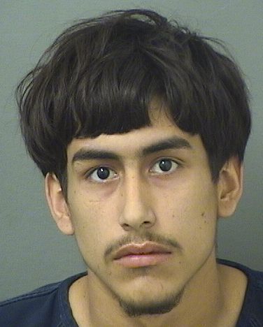  SAGE CHRISTOPHER SCHUSTER Results from Palm Beach County Florida for  SAGE CHRISTOPHER SCHUSTER