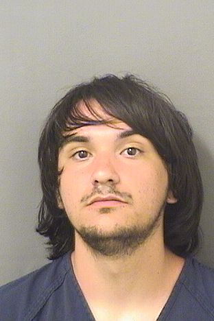  GABRIEL ALEXANDER OLIVA Results from Palm Beach County Florida for  GABRIEL ALEXANDER OLIVA